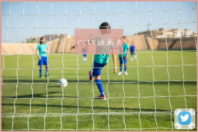 cctv动画片